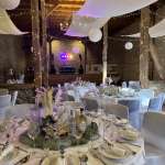 DJ Thomas Schatton_3.jpg